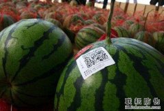 西瓜防偽標(biāo)簽有哪些功能？